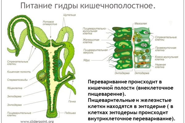 Кракен даркмаркет плейс официальный сайт